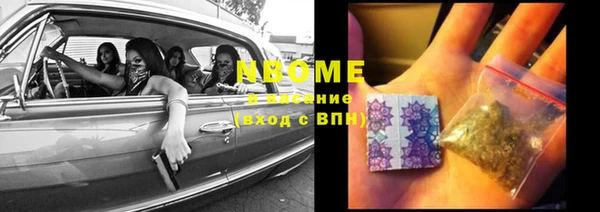 прущие грибы Абинск