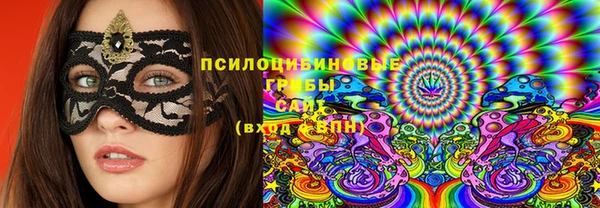 индика Абдулино