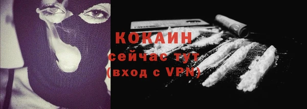 прущие грибы Абинск