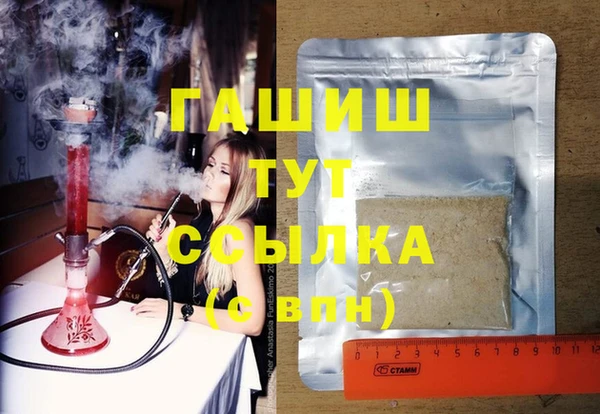гашик Алексин