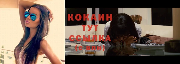 индика Абдулино