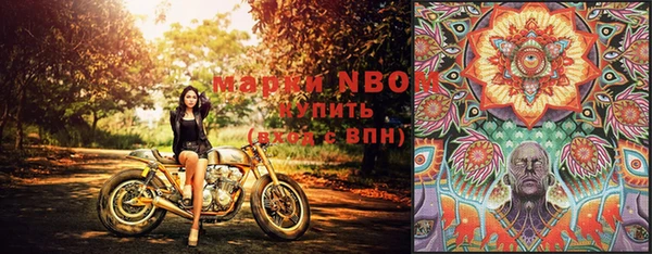 индика Абдулино