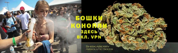 прущие грибы Абинск